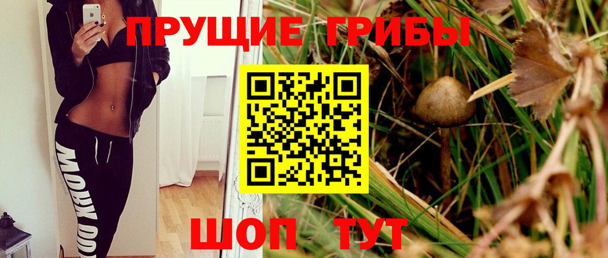 Псилоцибиновые грибы прущие грибы Кострома