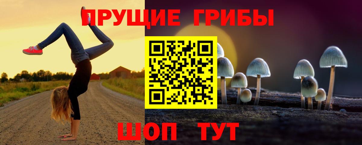 Псилоцибиновые грибы GOLDEN TEACHER  Вход с VPN  Галлюциногенные грибы мухоморы  Кострома 